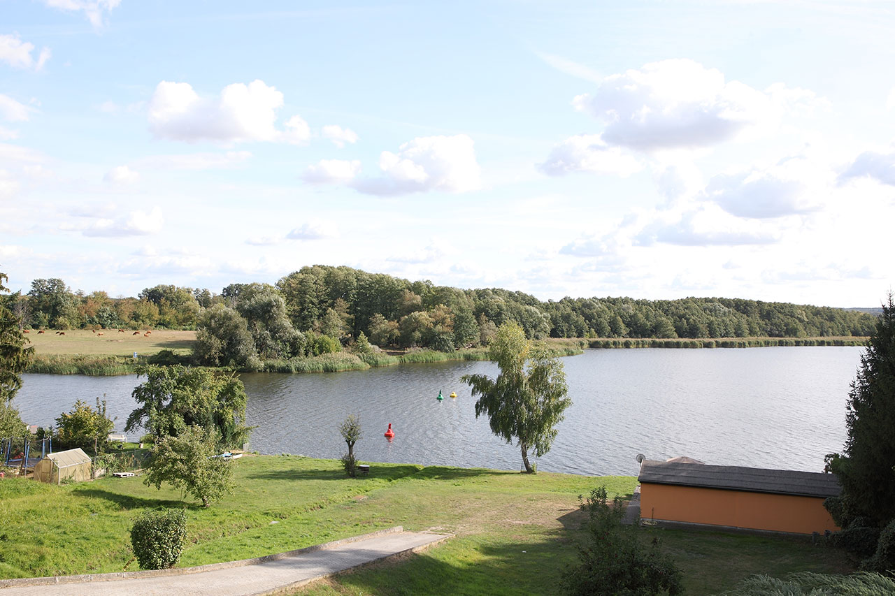 Ausblick